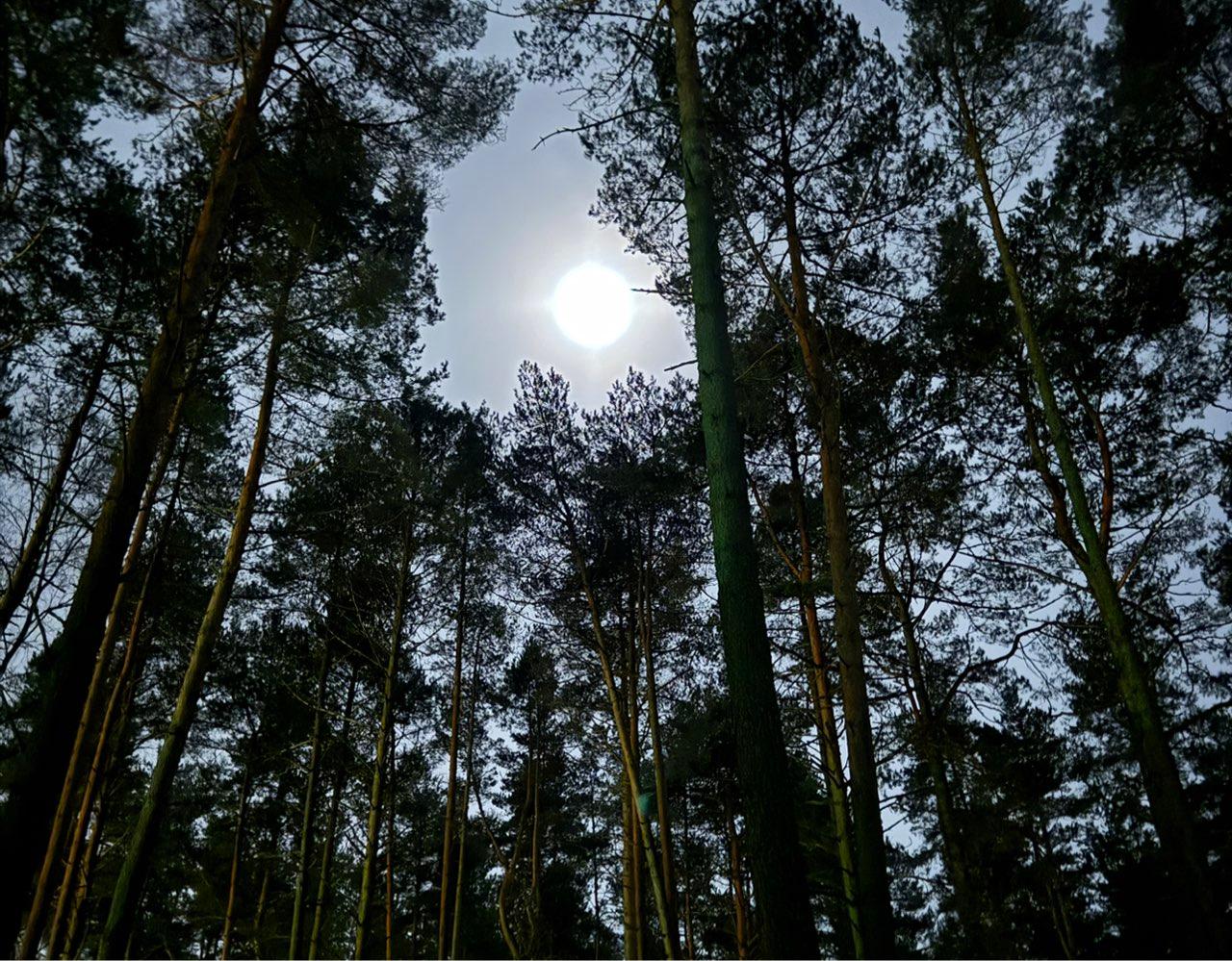The Moon over Narochskiy, Belarus — waning gibbous, Lunar Day 17