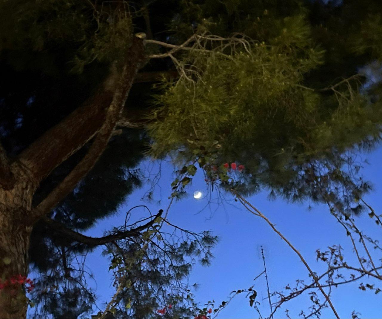 The Moon over Bari, Italia — waxing crescent, Lunar Day 5