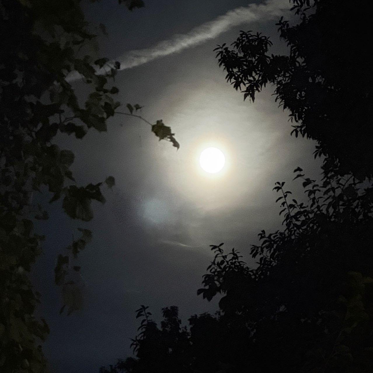 The Moon over Richmond Heights, United States — full moon, Lunar Day 17