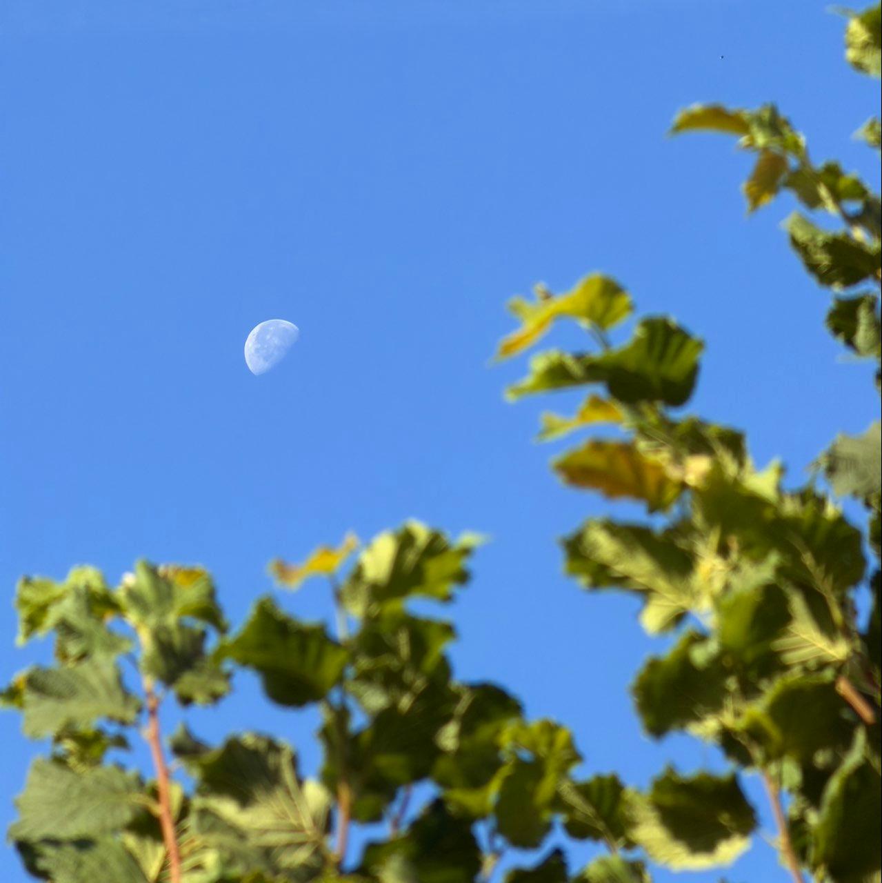 The Moon over Altendorf, Schweiz — last quarter, Lunar Day 22
