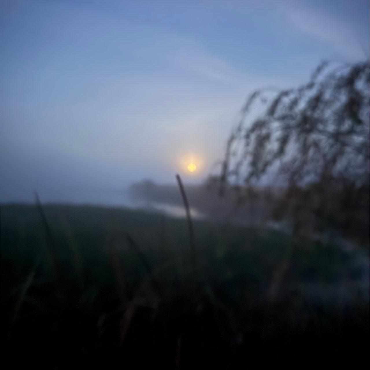 The Moon over Los Banos, United States — full moon, Lunar Day 15