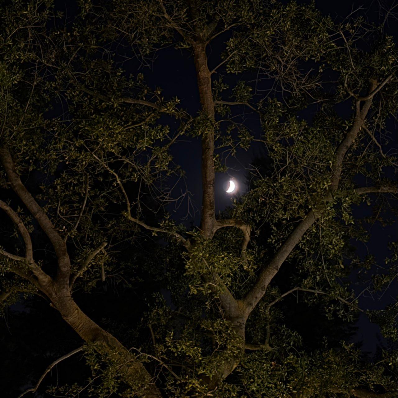 The Moon over Lodi, United States — first quarter, Lunar Day 7