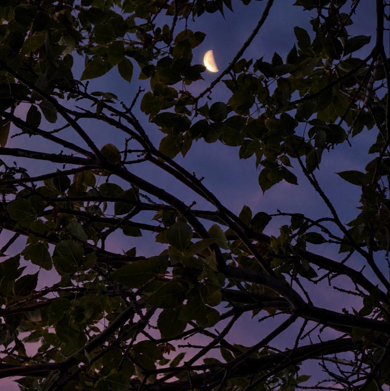 The Moon over Colorado Springs, United States — last quarter, Lunar Day 23