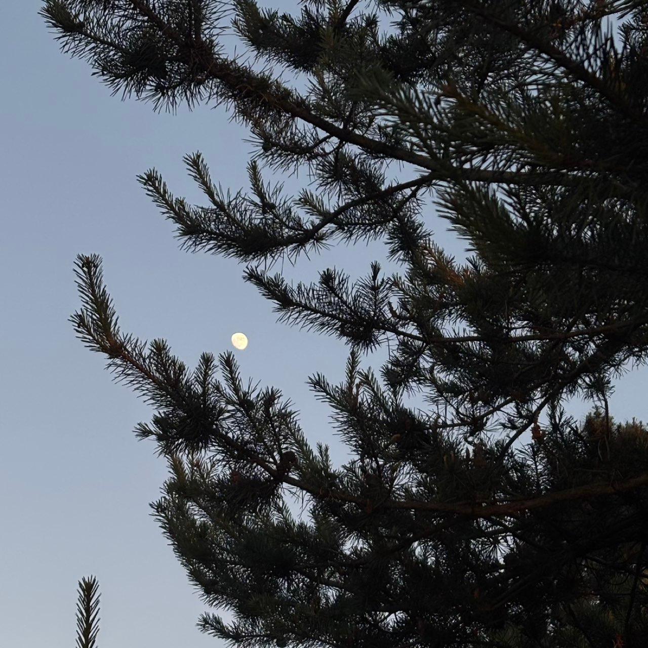 The Moon over Batumi, Georgia — waxing gibbous, Lunar Day 13
