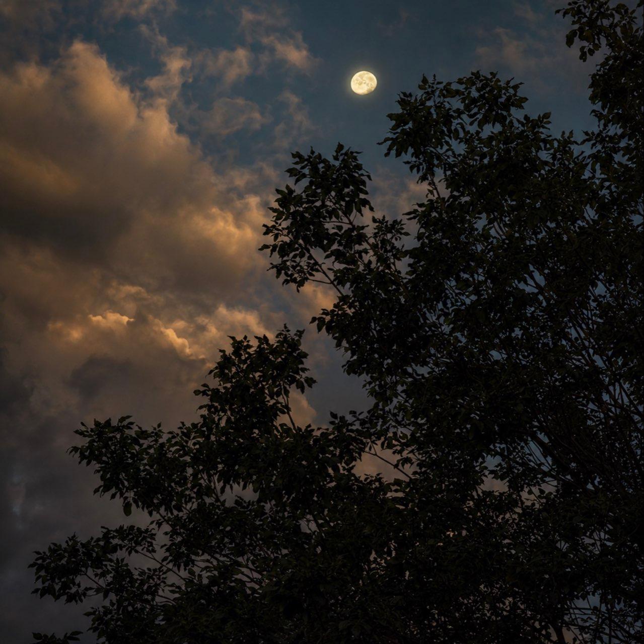 The Moon over Colorado Springs, United States — waning gibbous, Lunar Day 19