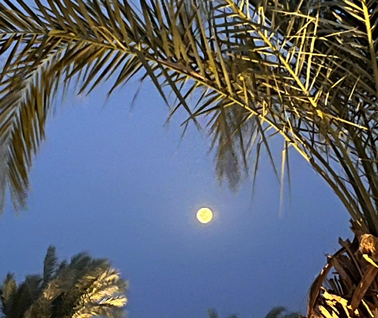The Moon over Sharm el-Sheikh, Egypt — full moon, Lunar Day 16