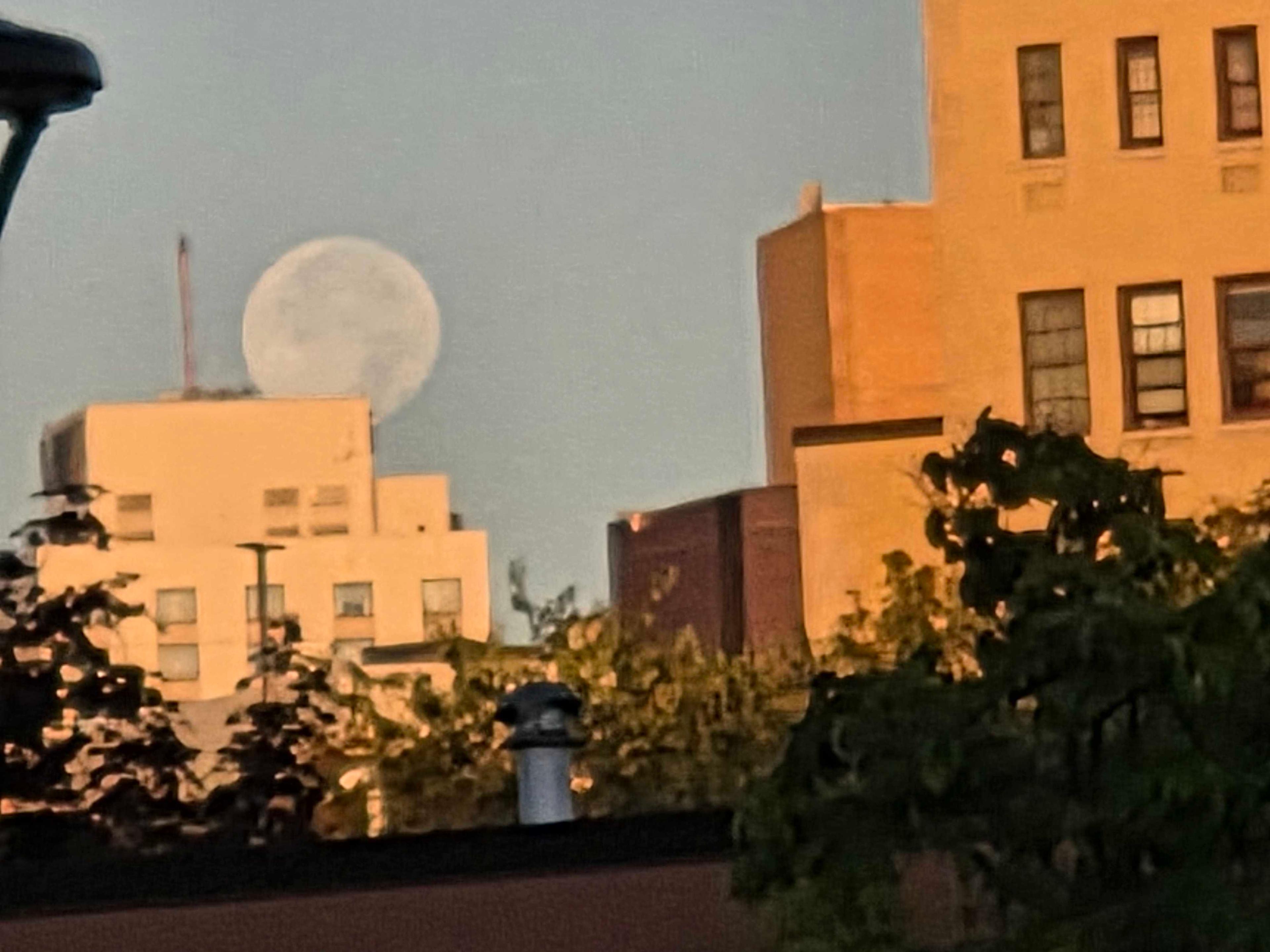 The Moon over Rochester, United States — full moon, Lunar Day 17