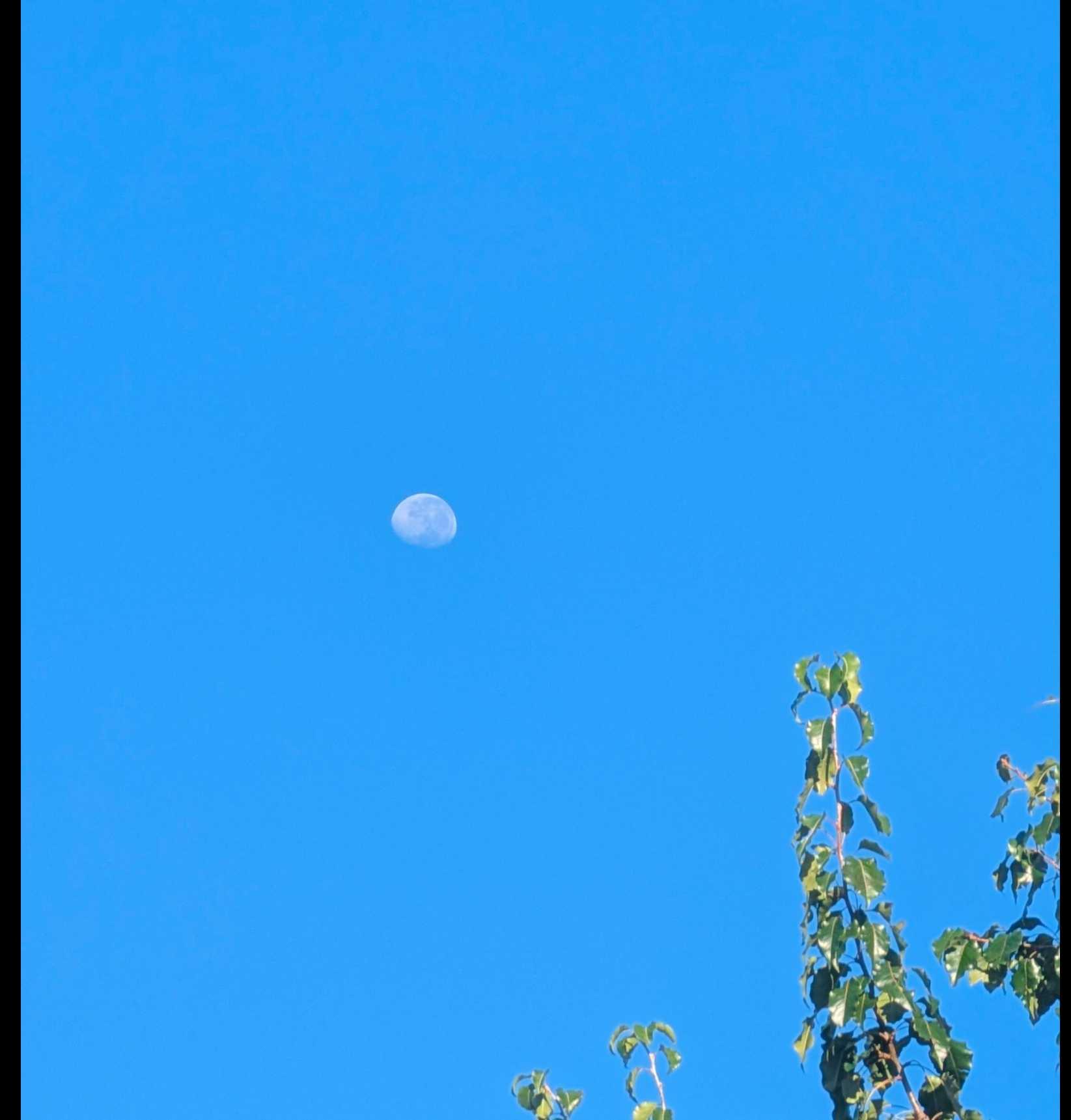 The Moon over Phillip, Australia — waning gibbous, Lunar Day 18