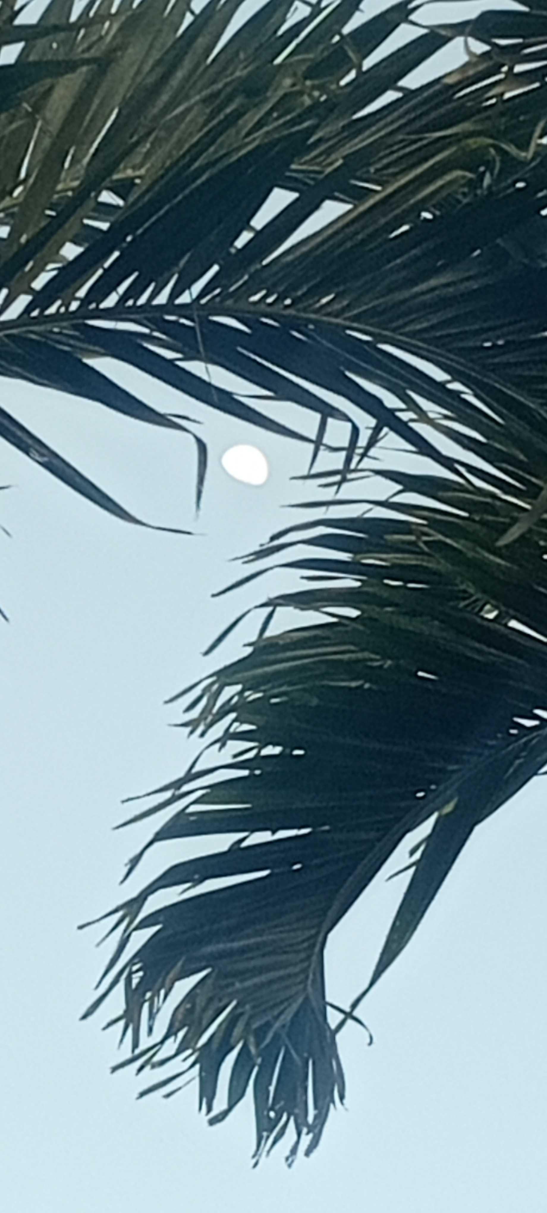 The Moon over Makilala, Philippines — last quarter, Lunar Day 23