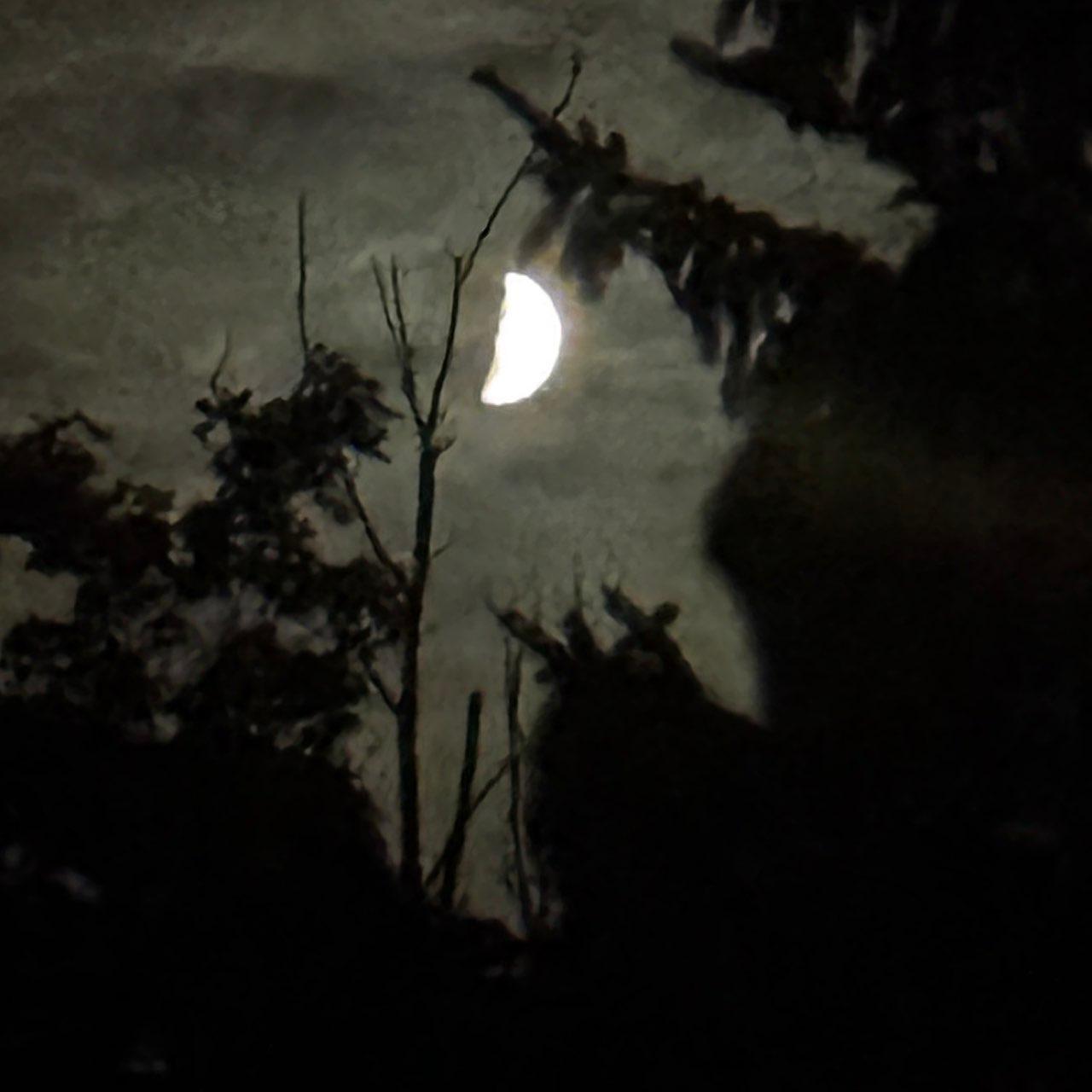 The Moon over Reminderville, United States — first quarter, Lunar Day 8