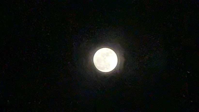 The Moon over North Augusta, United States — full moon, Lunar Day 15