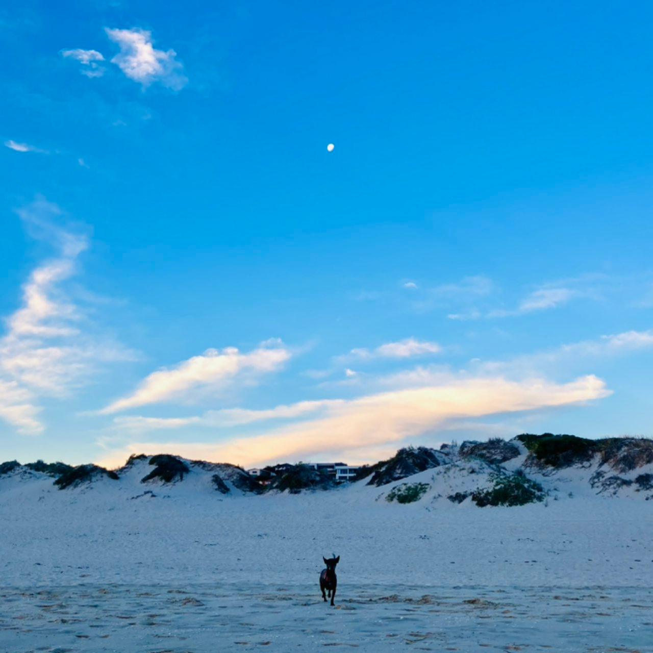 The Moon over Scarborough, Australia — waxing gibbous, Lunar Day 12