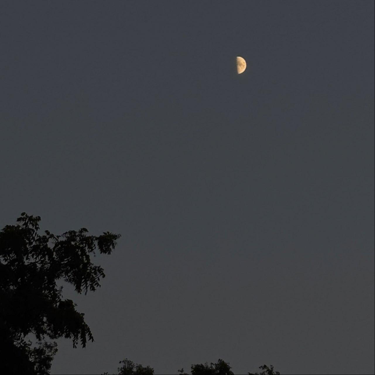 The Moon over Des Moines, United States — first quarter, Lunar Day 9