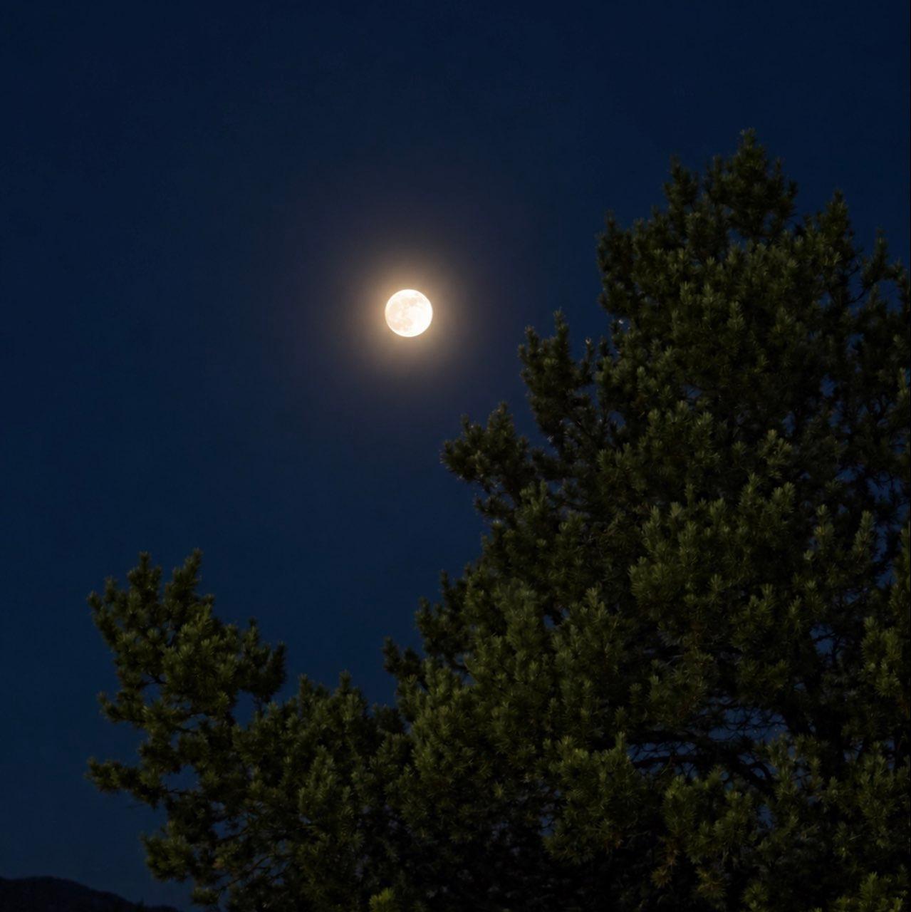 The Moon over Colorado Springs, United States — full moon, Lunar Day 16