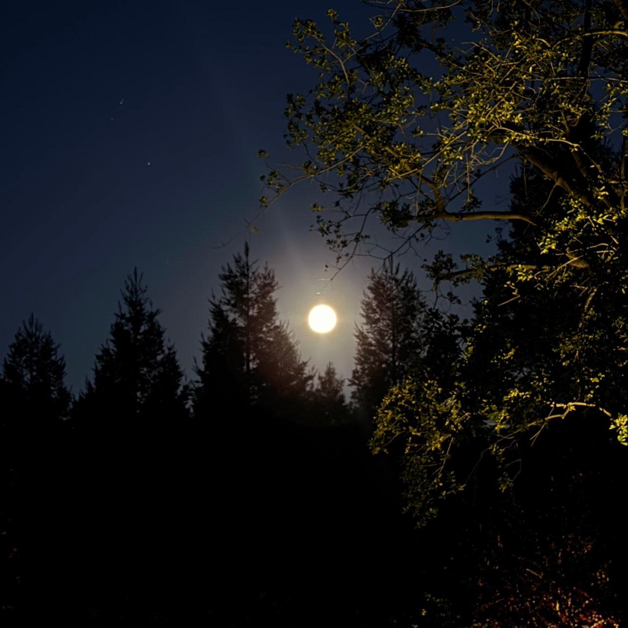 The Moon over Lodi, United States — full moon, Lunar Day 16