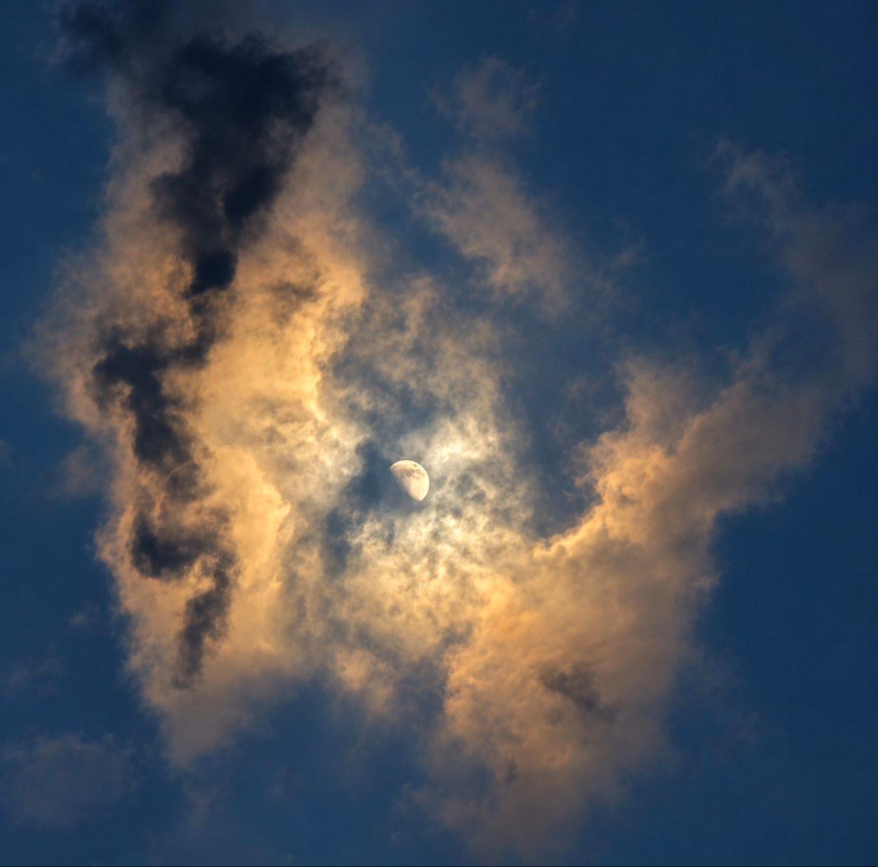 The Moon over Colorado Springs, United States — first quarter, Lunar Day 8