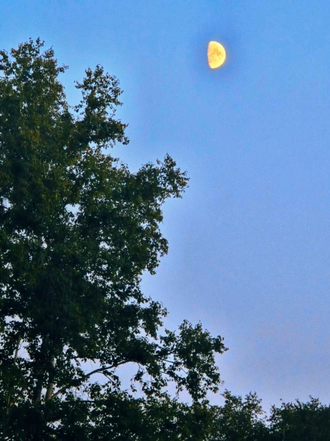 The Moon over Bathurst, Canada — first quarter, Lunar Day 11