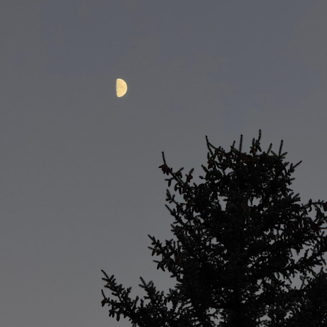 The Moon over Durango, United States — first quarter, Lunar Day 10