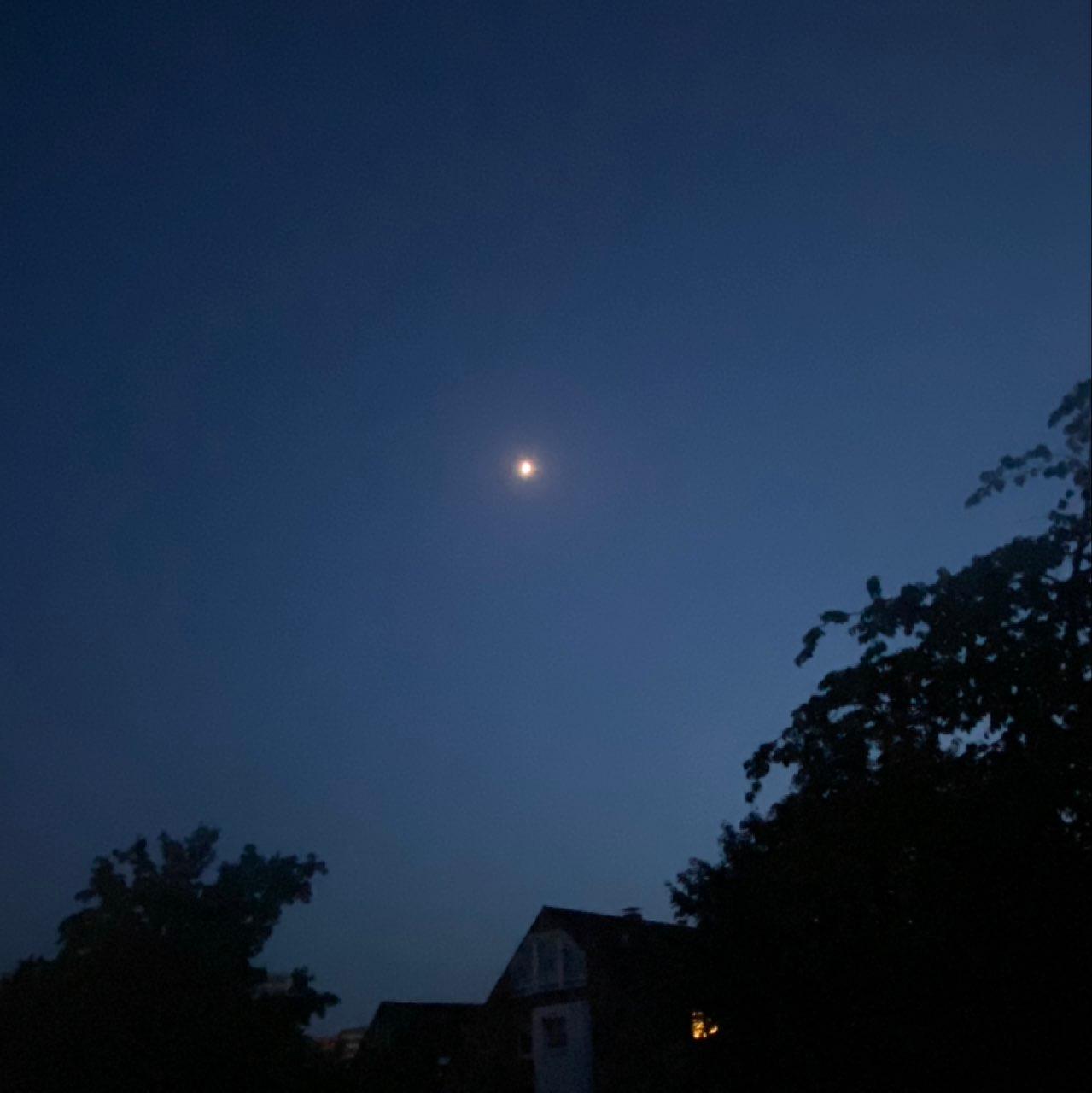 The Moon over Ratingen, Deutschland — first quarter, Lunar Day 8