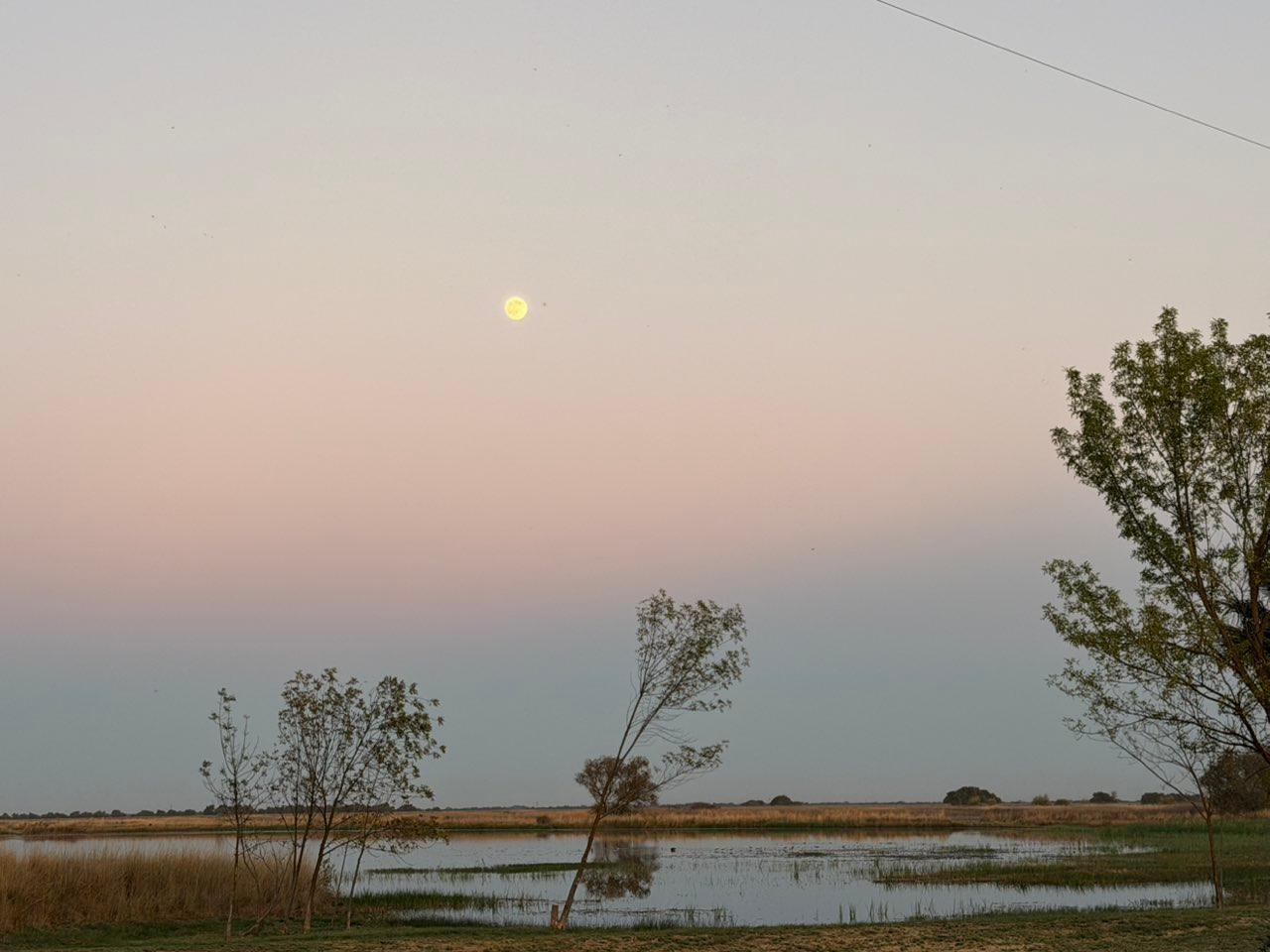 The Moon over Los Banos, United States — full moon, Lunar Day 15