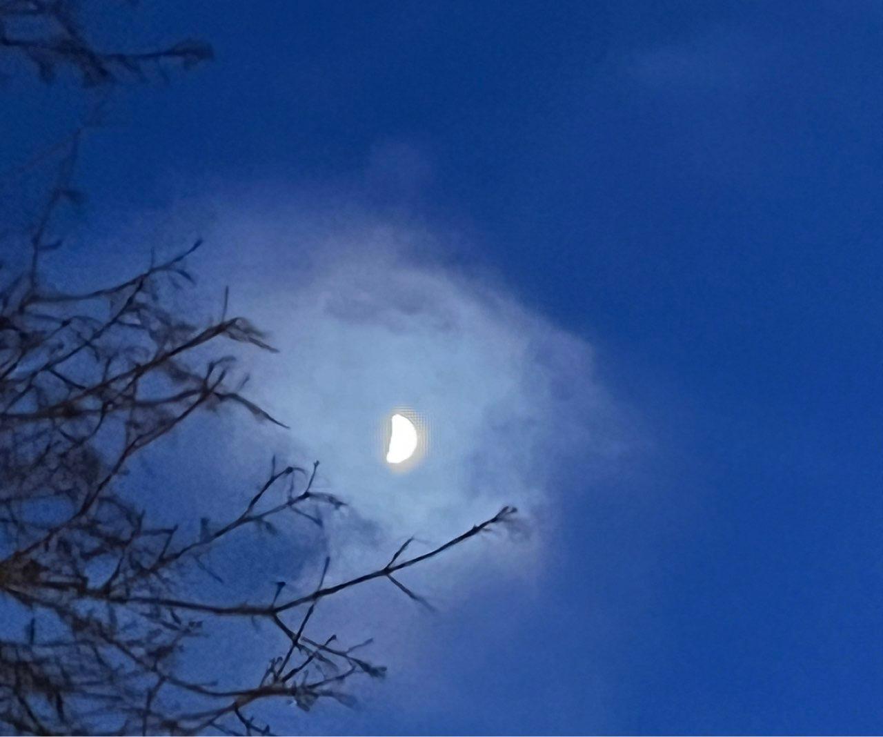 The Moon over Borås, Sverige — first quarter, Lunar Day 7