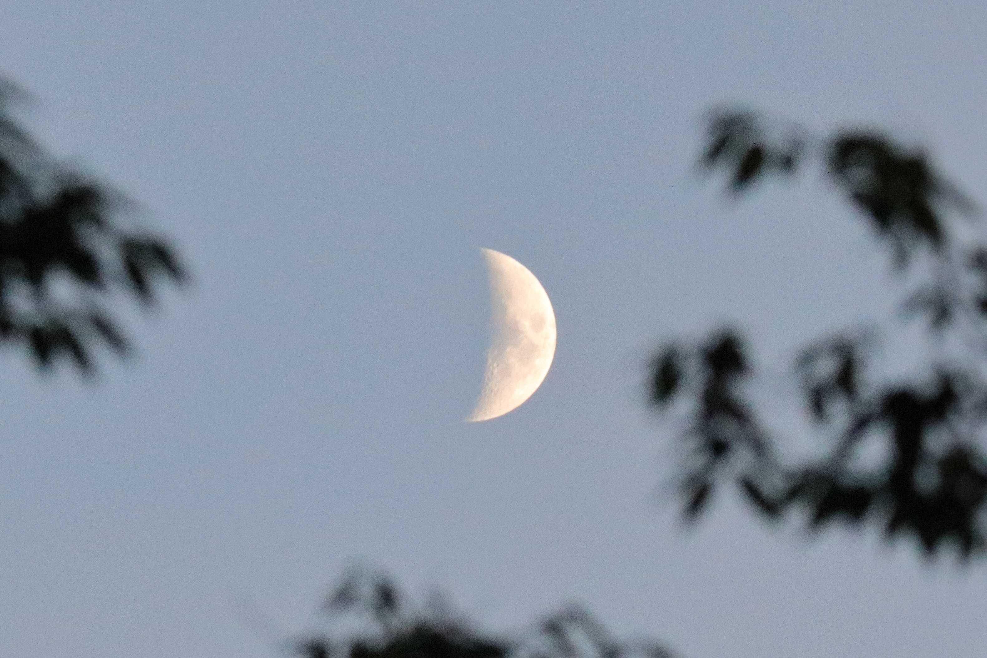 The Moon over Englewood, United States — first quarter, Lunar Day 7