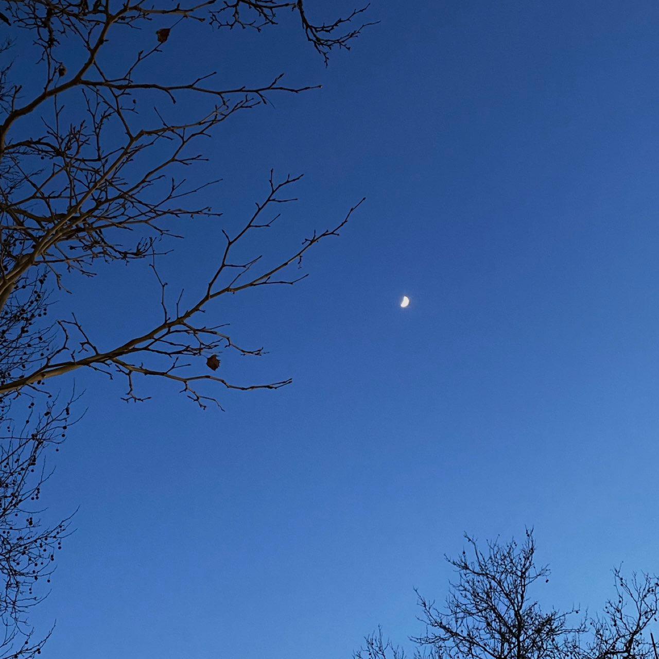 The Moon over Frankfurt am Main, Deutschland — first quarter, Lunar Day 6