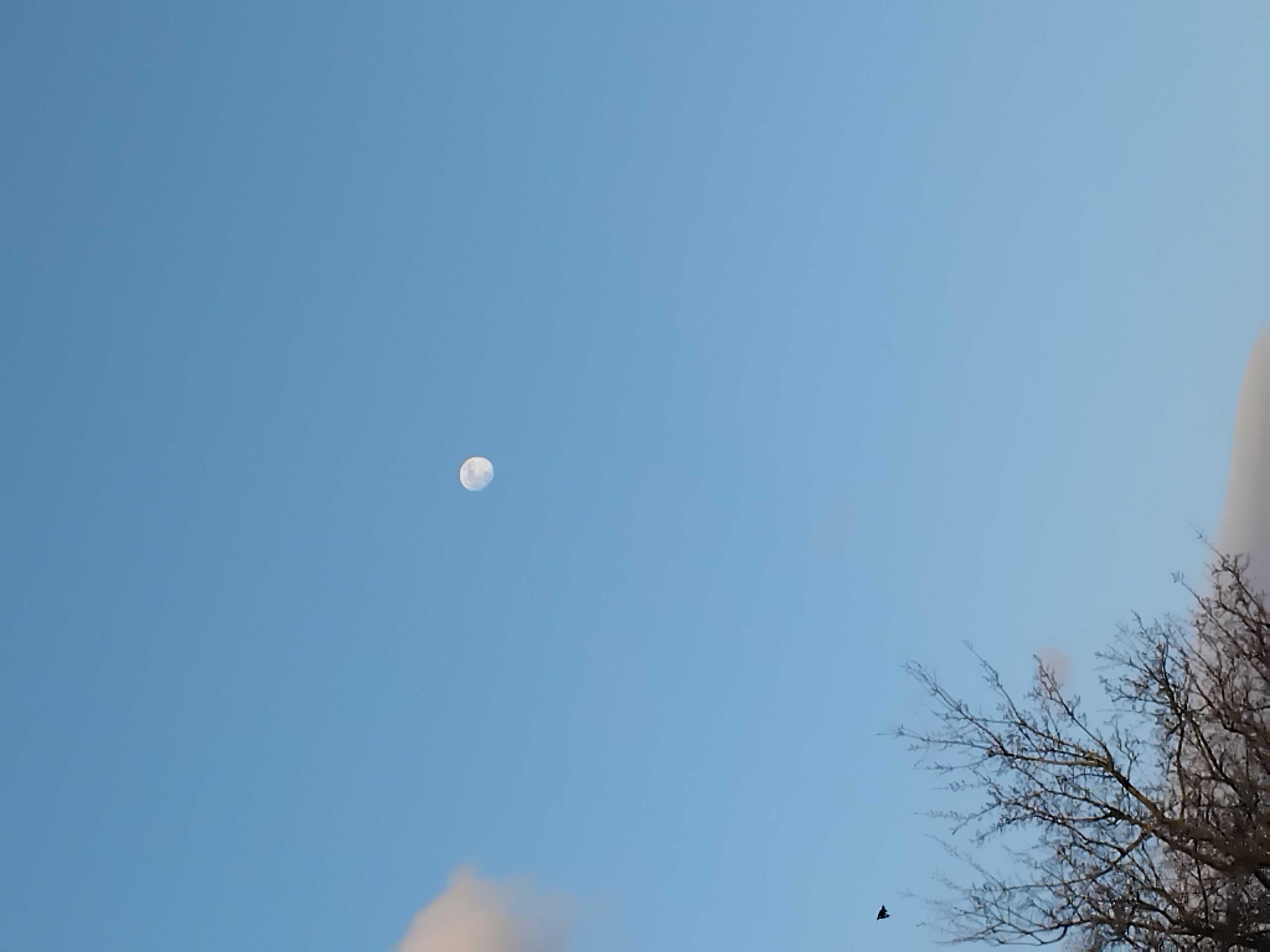The Moon over United Kingdom — waxing crescent, Lunar Day 4