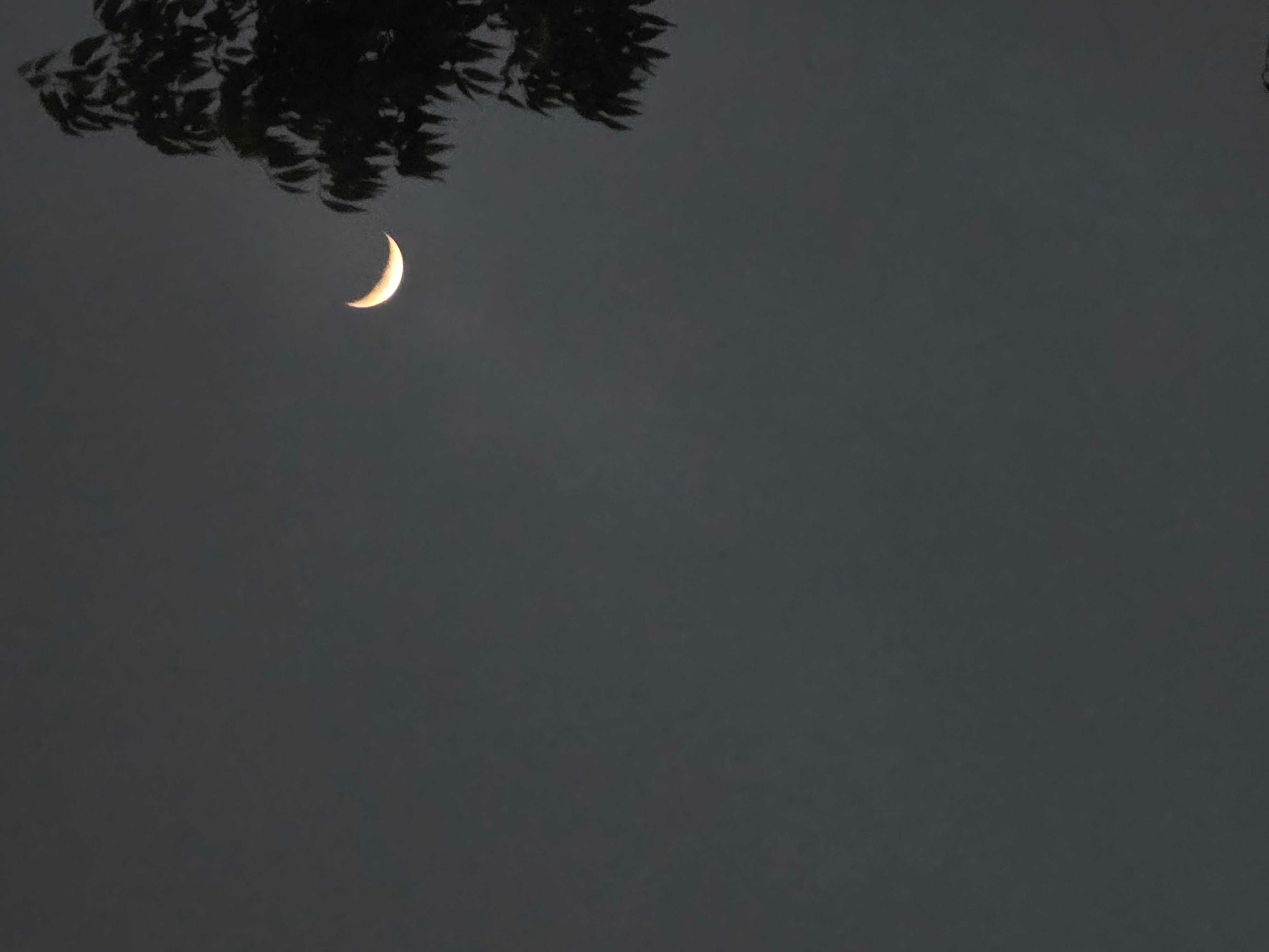 The Moon over Hamden, United States — waning crescent, Lunar Day 26