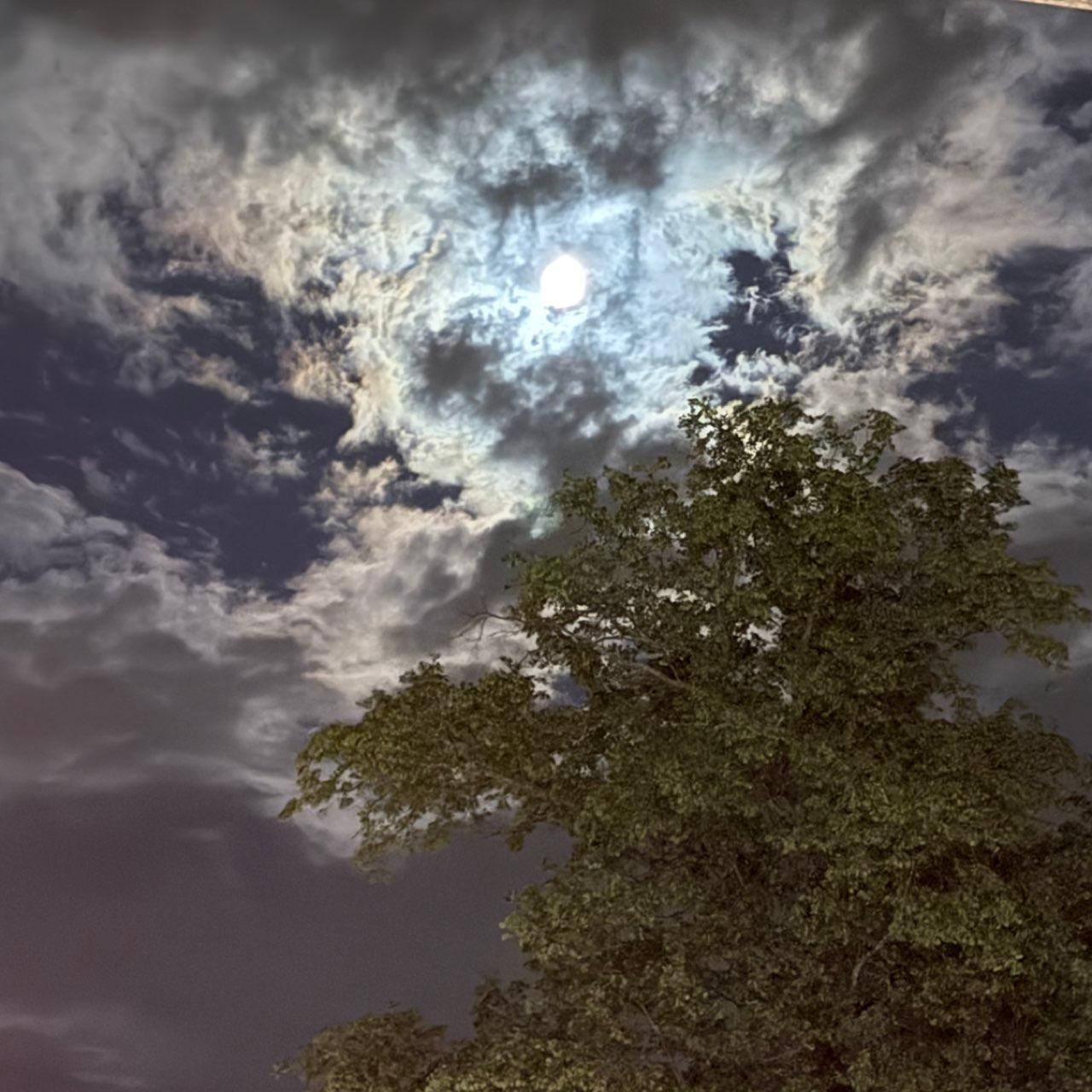 The Moon over Boston, United States — full moon, Lunar Day 14