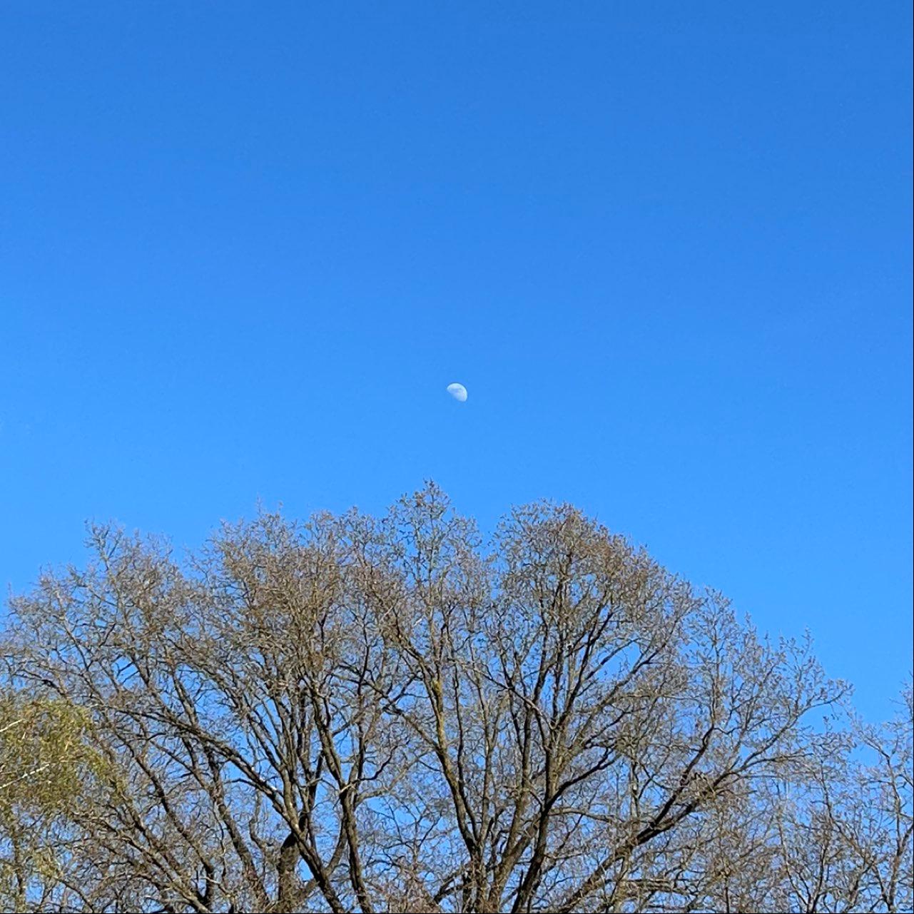 The Moon over Oranienburg, Germany — first quarter, Lunar Day 9