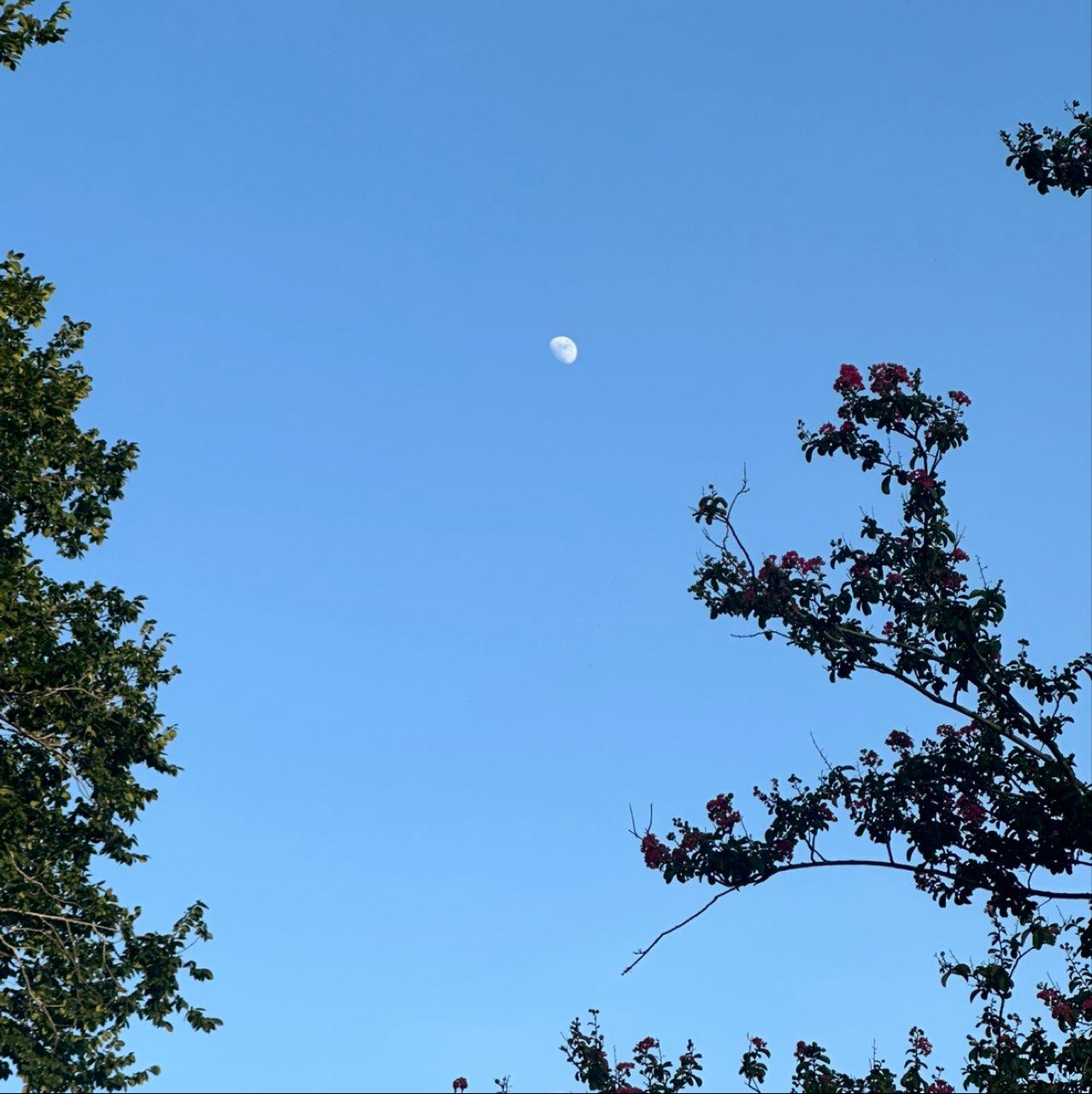 The Moon over Houston, United States — waxing gibbous, Lunar Day 11