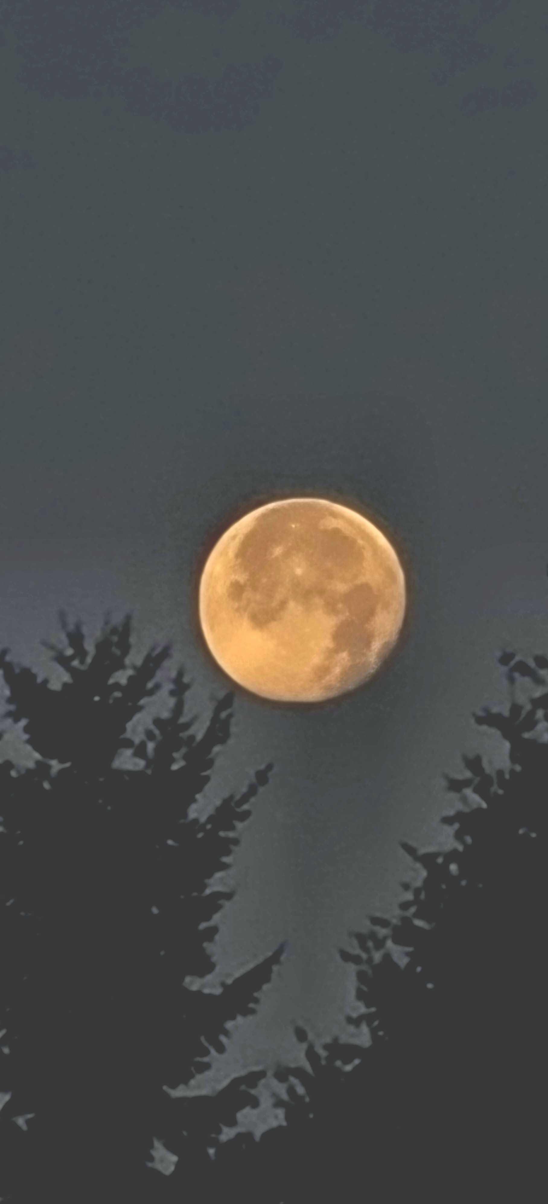 The Moon over Ebikon, Schweiz — full moon, Lunar Day 17