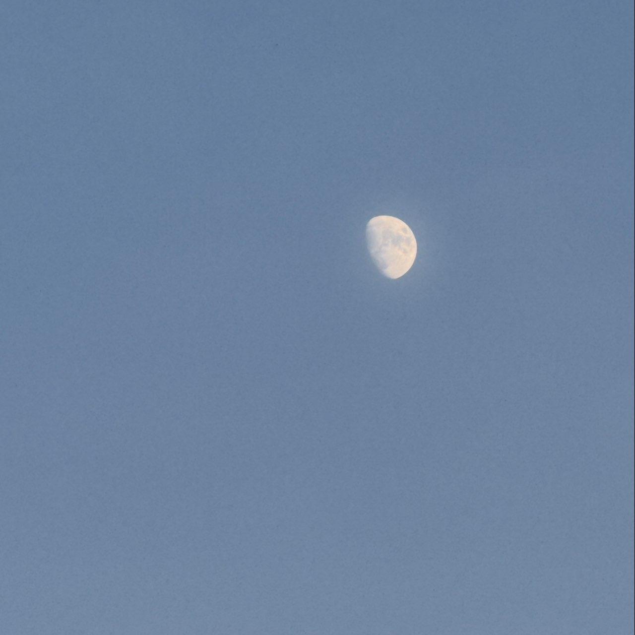 The Moon over New Orleans, United States — waxing gibbous, Lunar Day 11