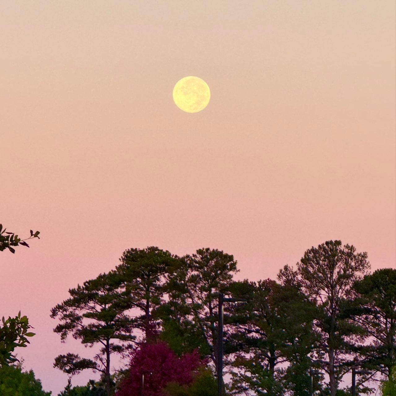 The Moon over Raleigh, United States — full moon, Lunar Day 16