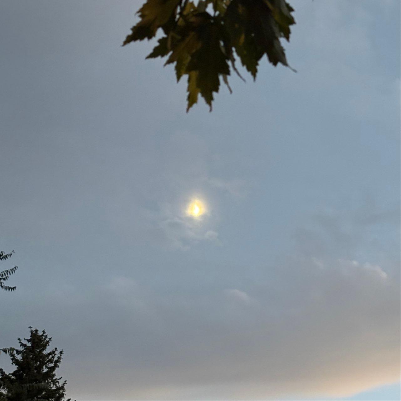 The Moon over Denver, United States — first quarter, Lunar Day 10