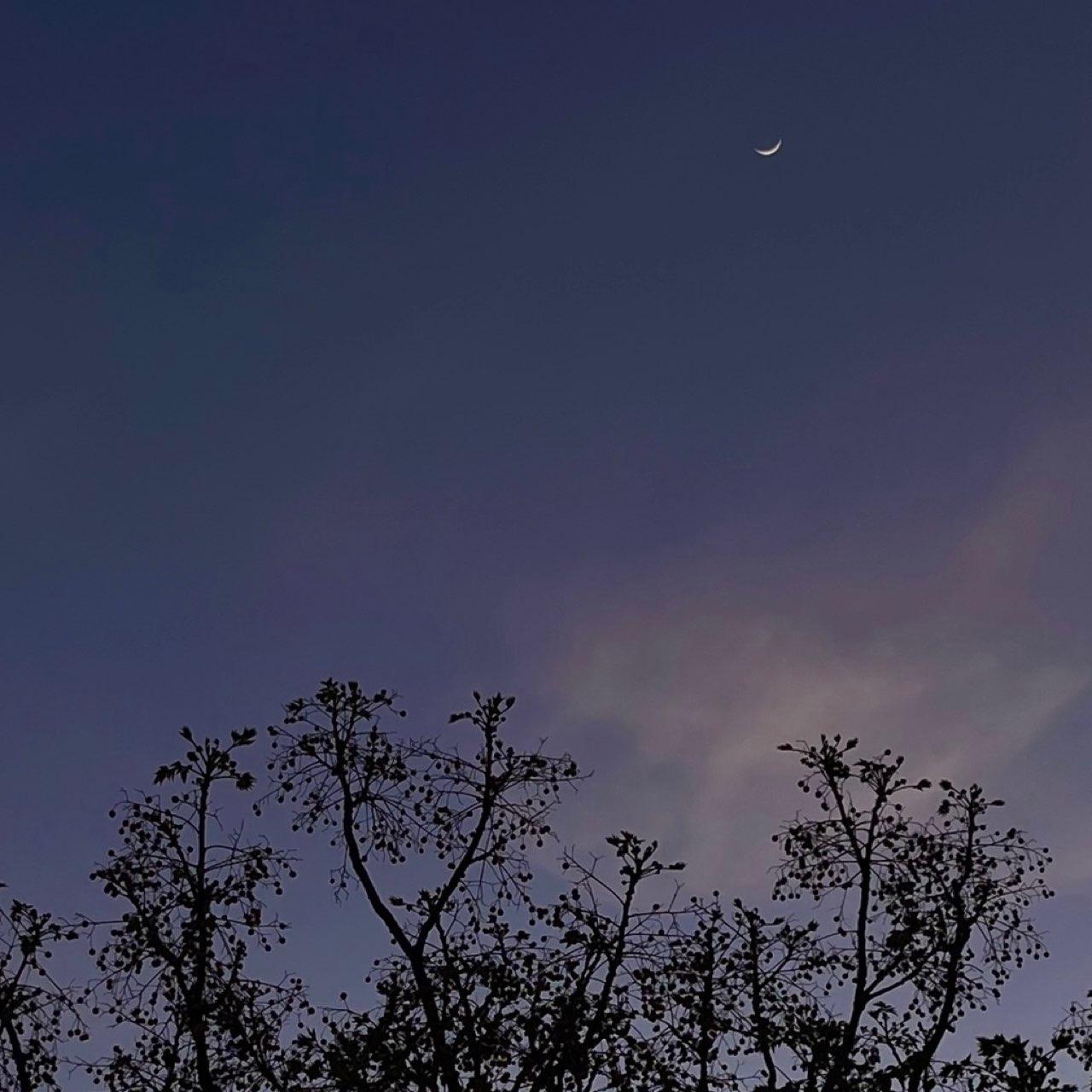 The Moon over Toulouse, Francia — waxing crescent, Lunar Day 4