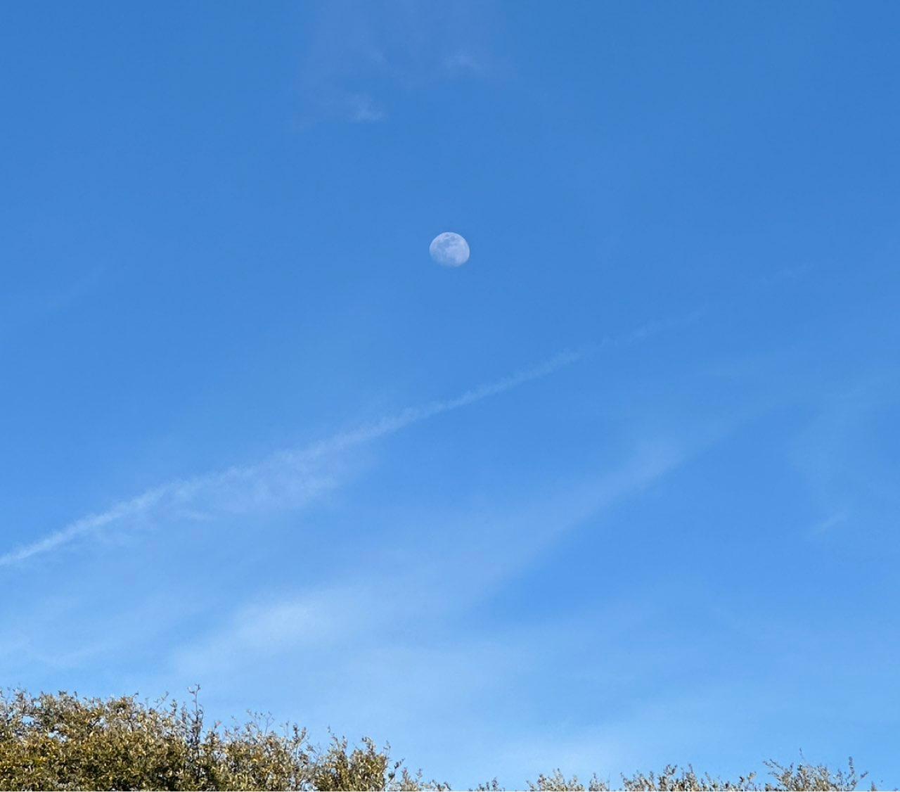 The Moon over Farmers Branch, Estados Unidos — waxing gibbous, Lunar Day 12