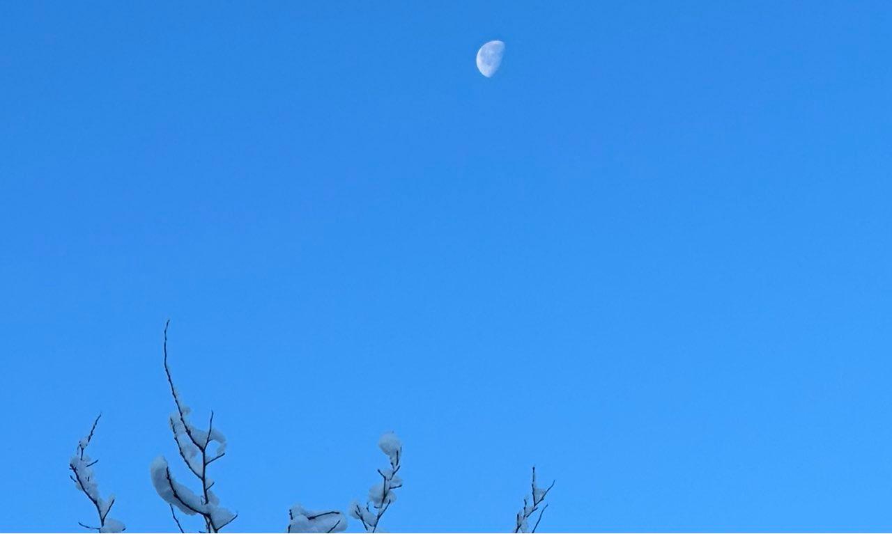 The Moon over Gränichen, Schweiz — last quarter, Lunar Day 20