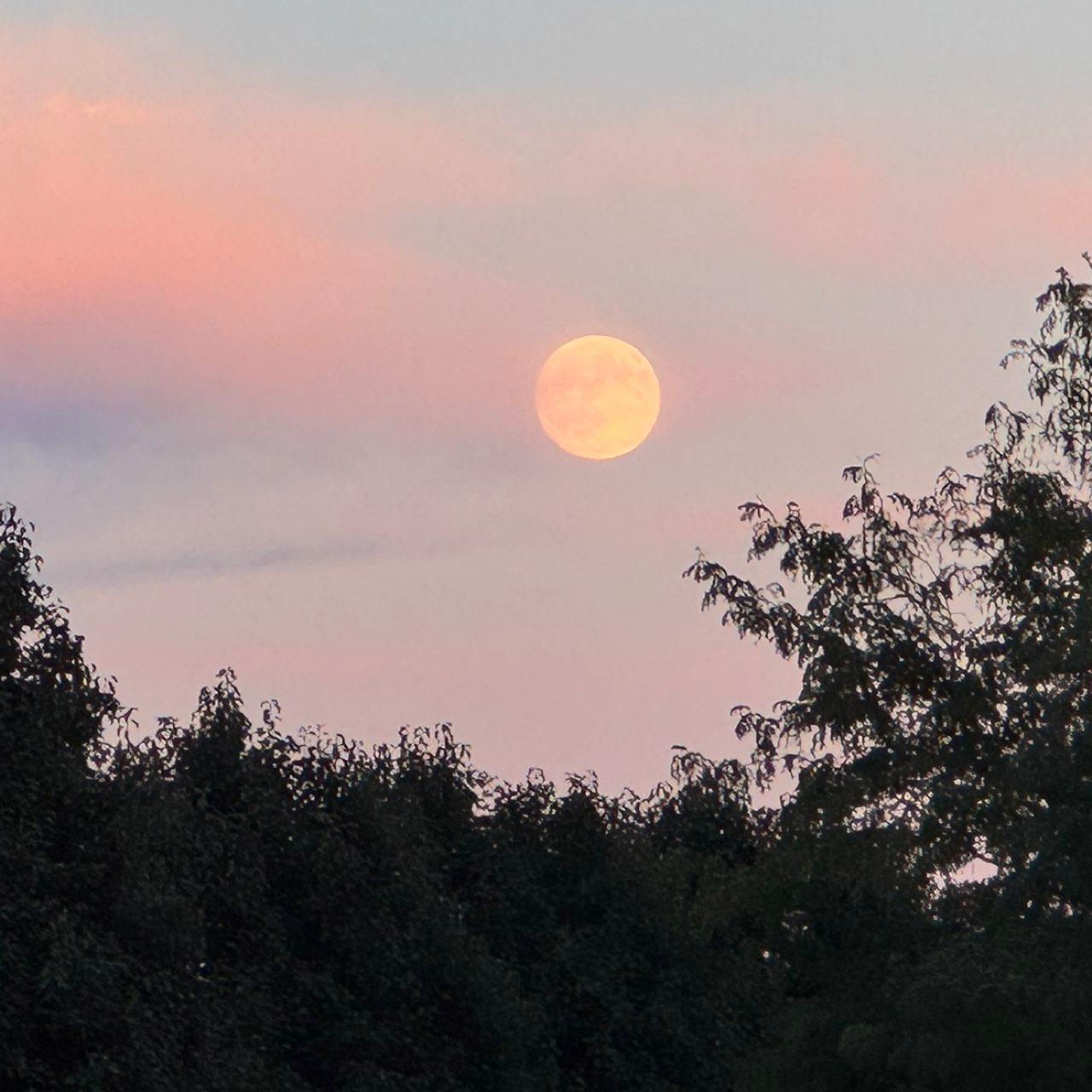 The Moon over Beachwood, United States — full moon, Lunar Day 16