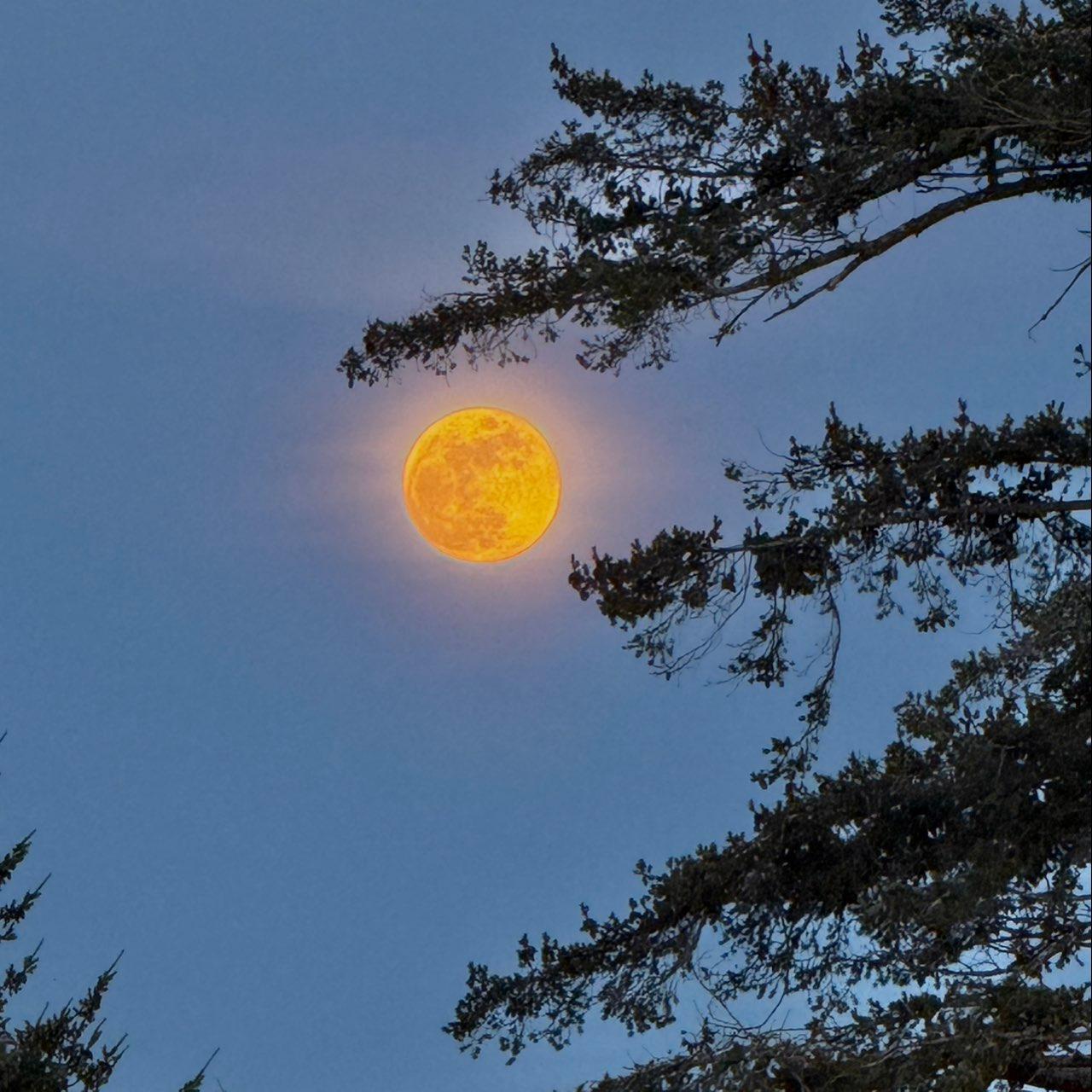 The Moon over Langford, Canada — new moon, Lunar Day 2
