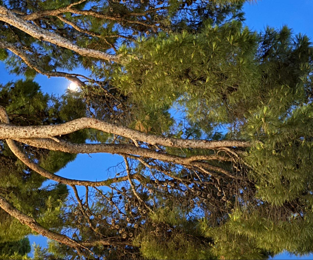 The Moon over Makarska, Croatia — waxing gibbous, Lunar Day 12