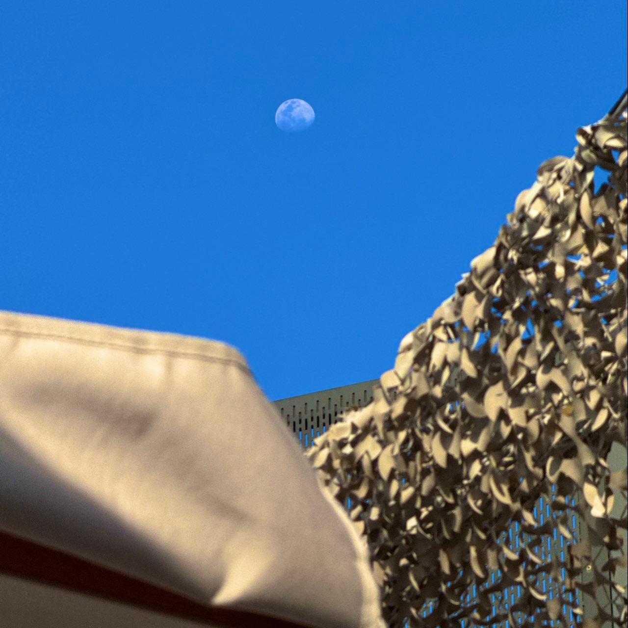 The Moon over Wilston, Australia — waxing gibbous, Lunar Day 14