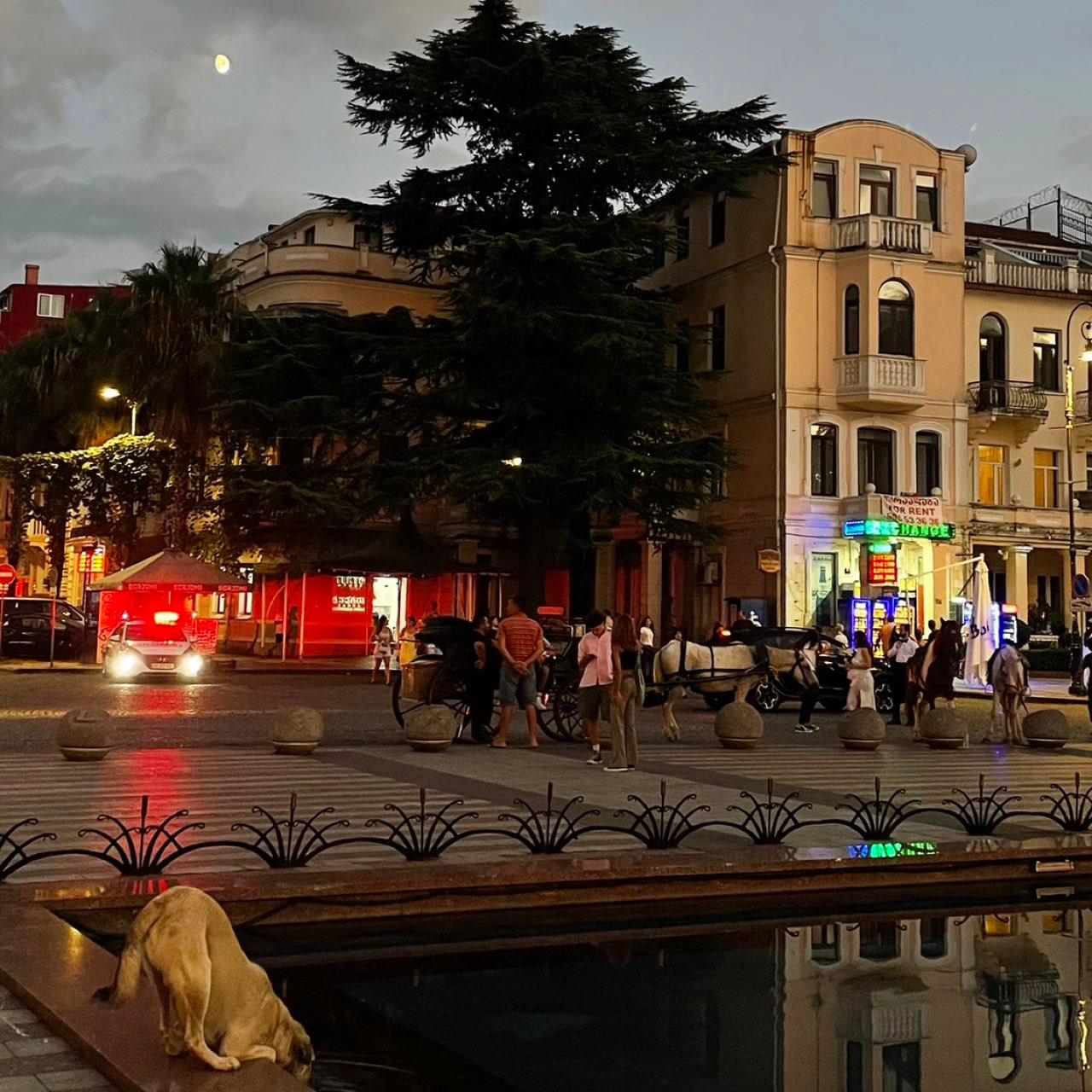 The Moon over Batumi, Georgia — waxing gibbous, Lunar Day 12