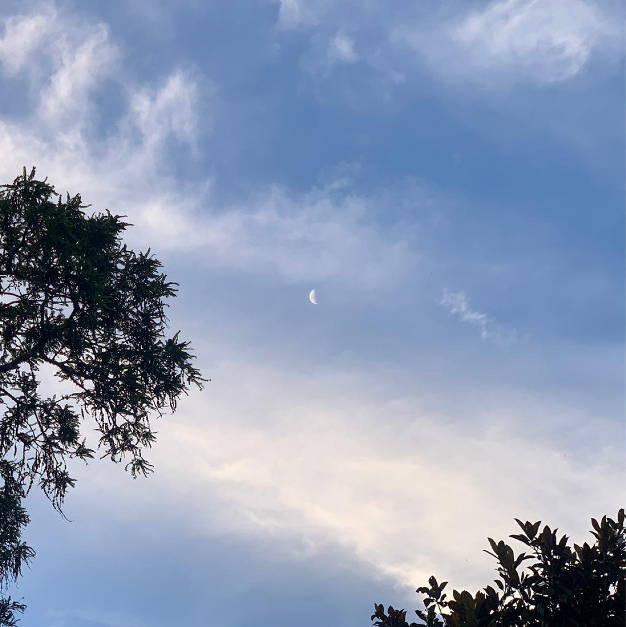 The Moon over New Plymouth, New Zealand — first quarter, Lunar Day 7
