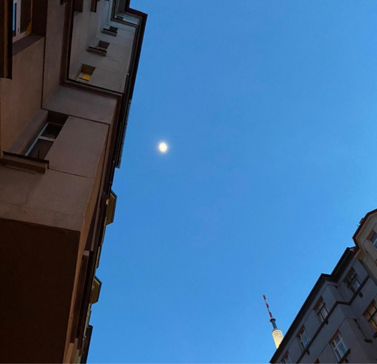 The Moon over Prague 3, Czechia — first quarter, Lunar Day 8