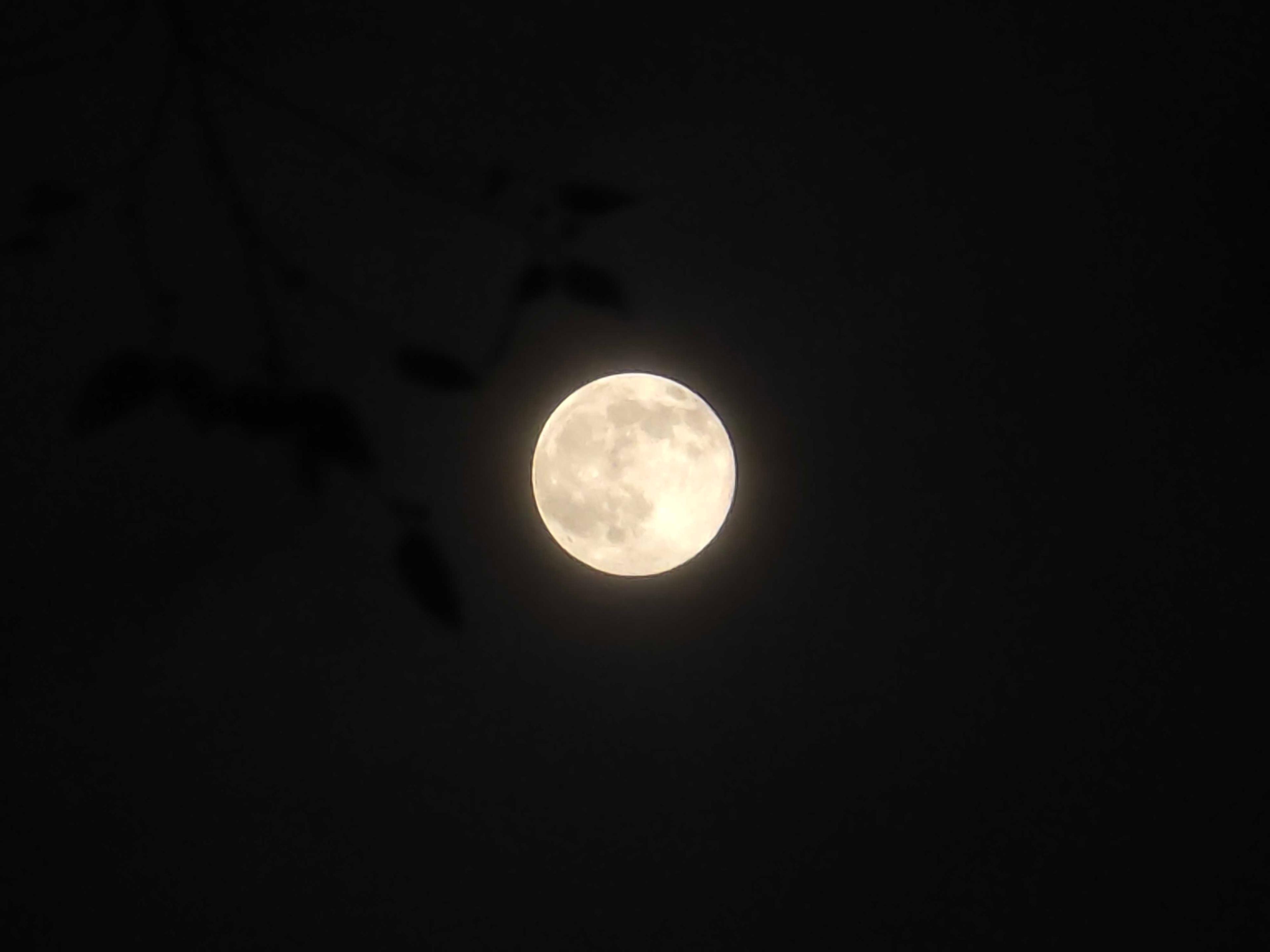 The Moon over San Antonio, United States — full moon, Lunar Day 16
