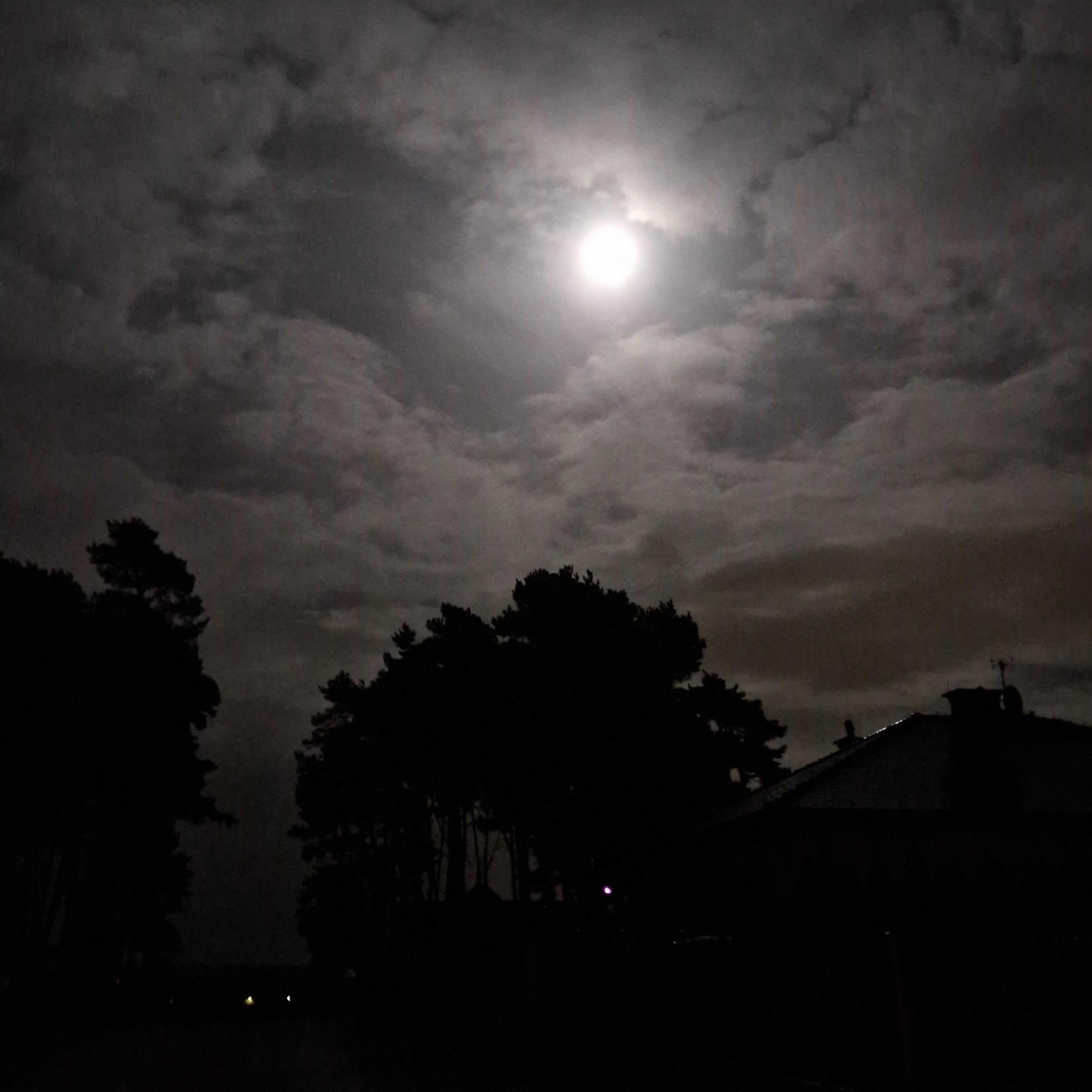 The Moon over Dobra, Polska — full moon, Lunar Day 16