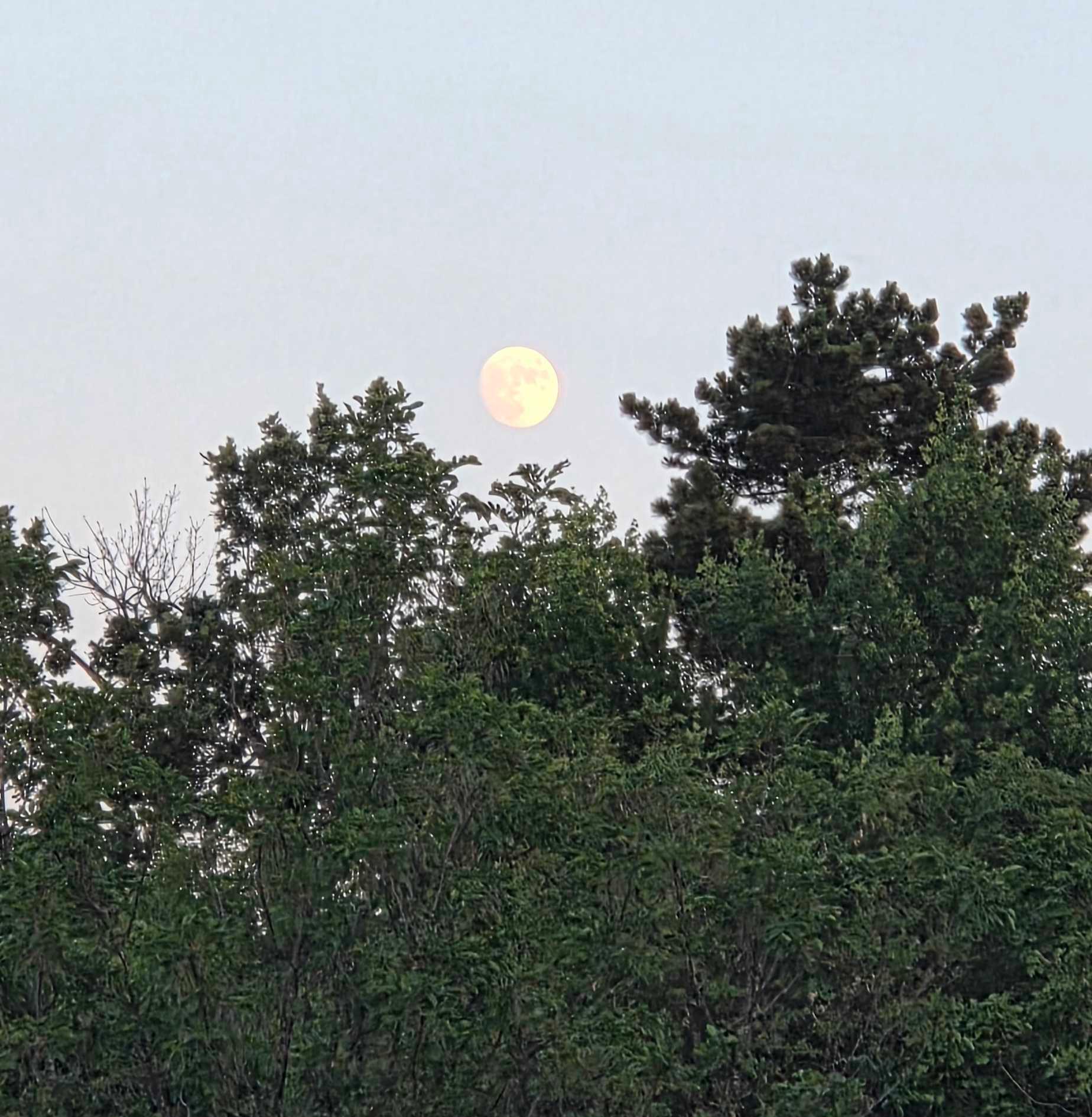 The Moon over Trieste, Italia — waxing gibbous, Lunar Day 14