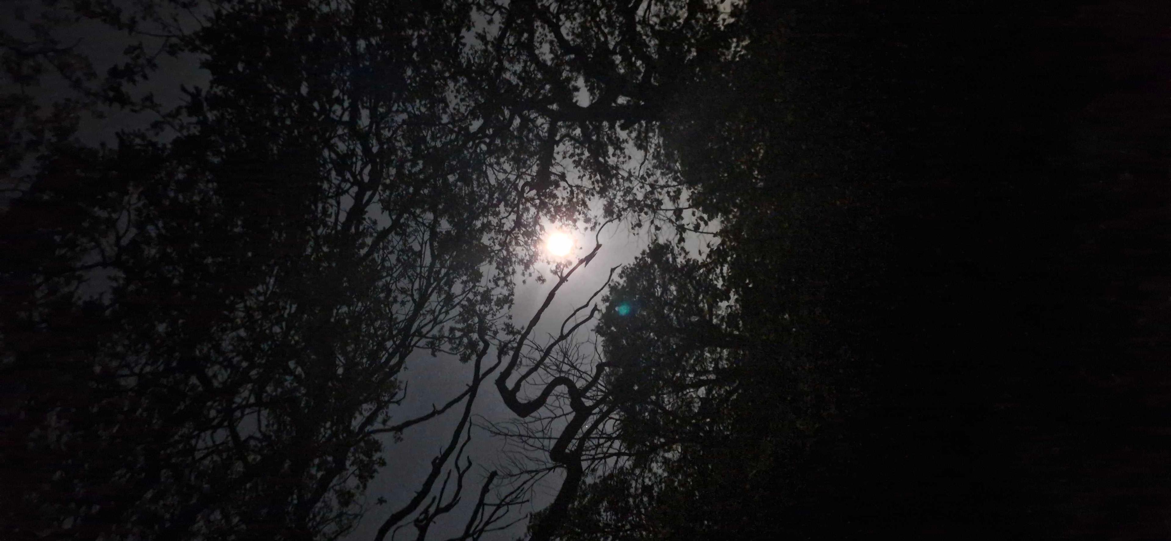 The Moon over Sweden — full moon, Lunar Day 16
